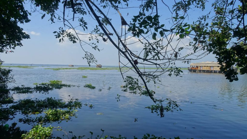Vembanad Lake